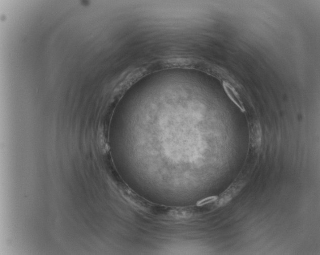 X0000074340764200609082057