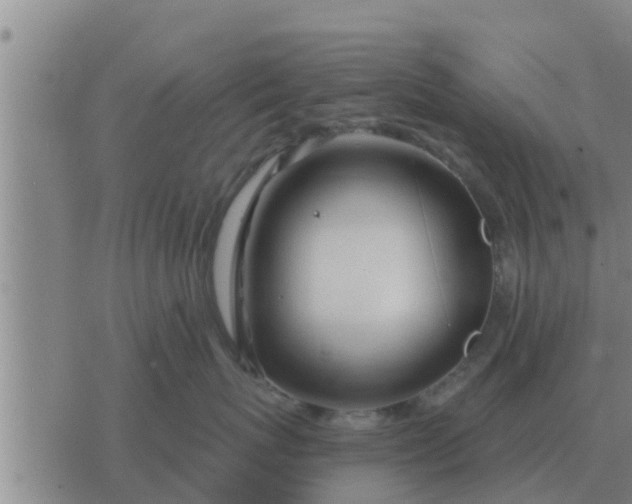 X0000074340767200609082057