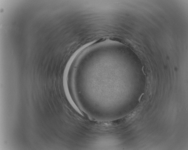 X0000074340768200609082057