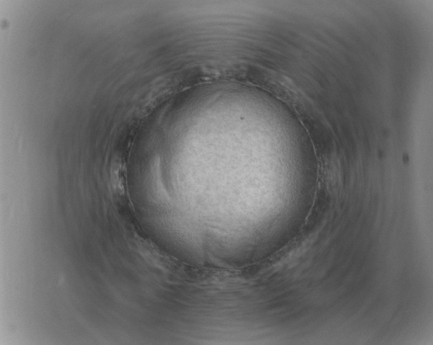 X0000074340770200609082056