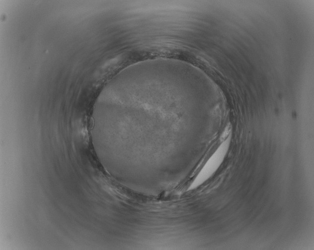 X0000074340771200609082056