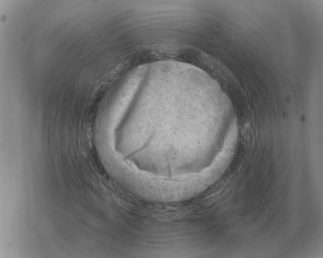 X0000074340772200609082056