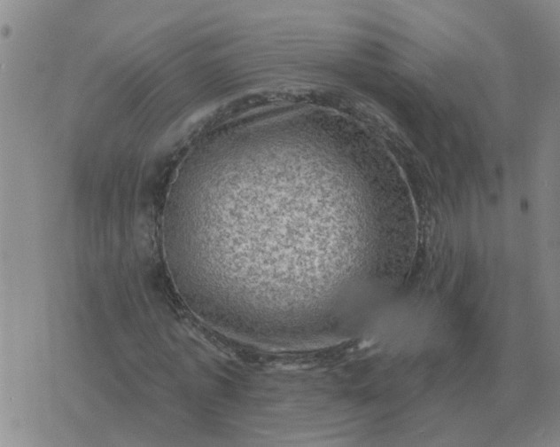 X0000074340773200609082056