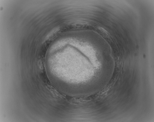 X0000074340774200609082056