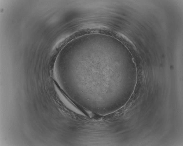 X0000074340775200609082056