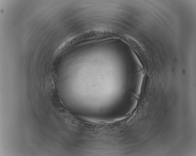 X0000074340776200609082056