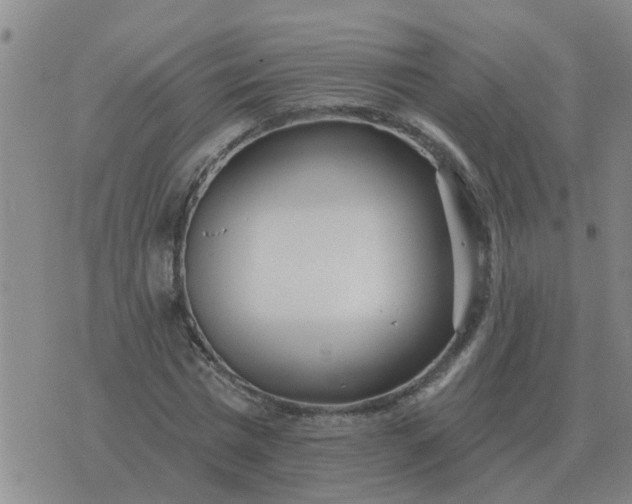 X0000074340777200609082056