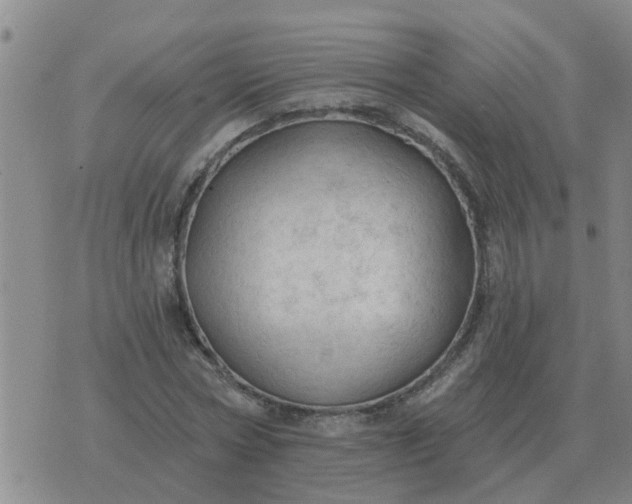 X0000074340778200609082056