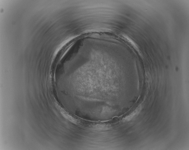 X0000074340779200609082056