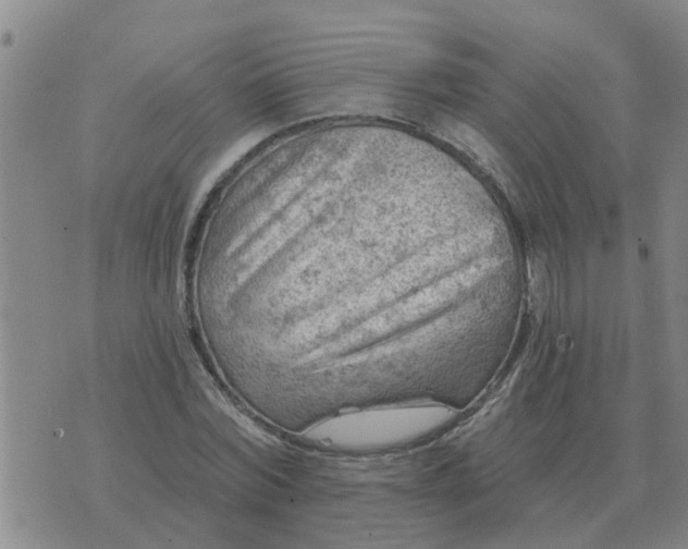 X0000074340780200609082056