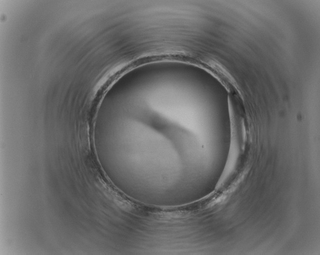 X0000074340781200609082056