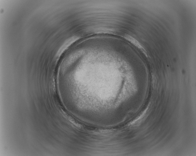 X0000074340782200609082056