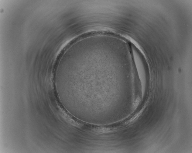 X0000074340783200609082056