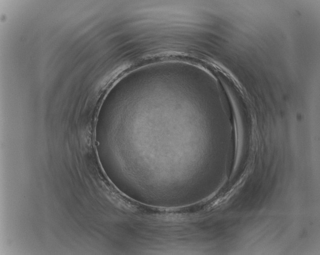 X0000074340785200609082056