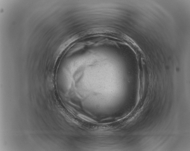 X0000074340786200609082056