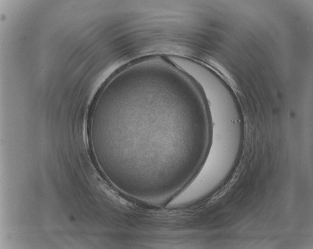 X0000074340788200609082056