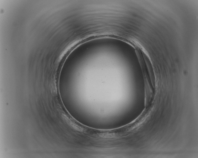 X0000074340789200609082056