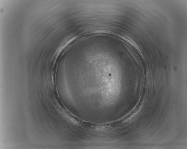 X0000074340790200609082056