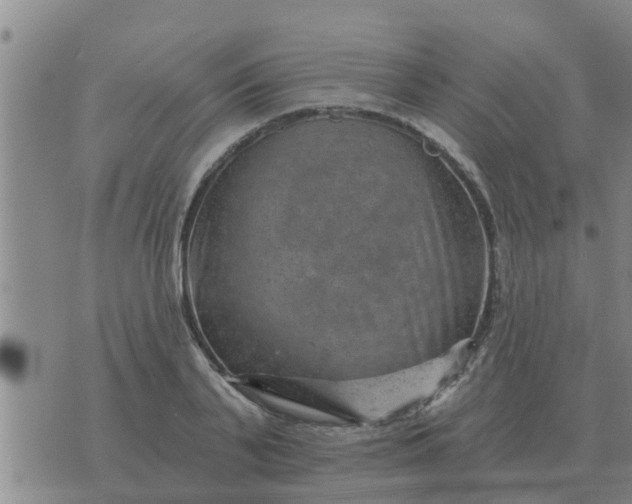 X0000074340791200609082056