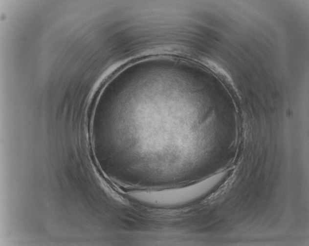 X0000074340792200609082056