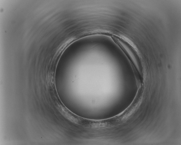 X0000074340793200609082056