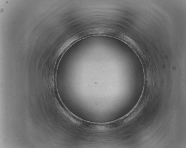 X0000074340794200609082056