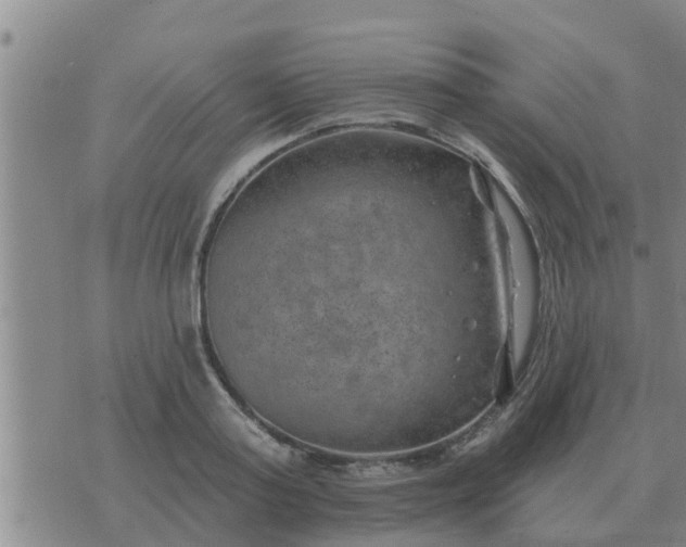 X0000074340795200609082056