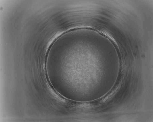 X0000074340797200609082056