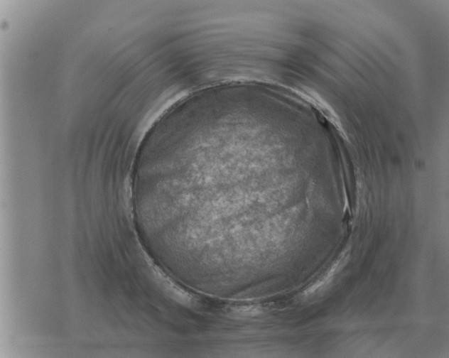 X0000074340798200609082056