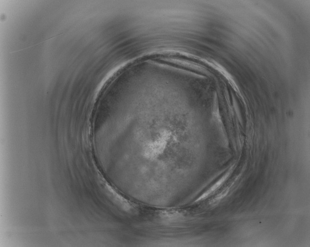 X0000074340799200609082056