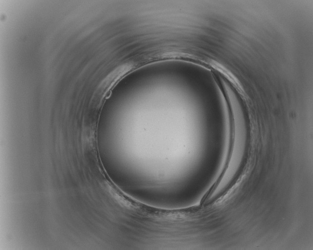 X0000074340801200609082056