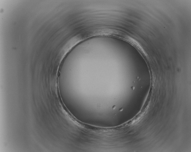 X0000074340802200609082056