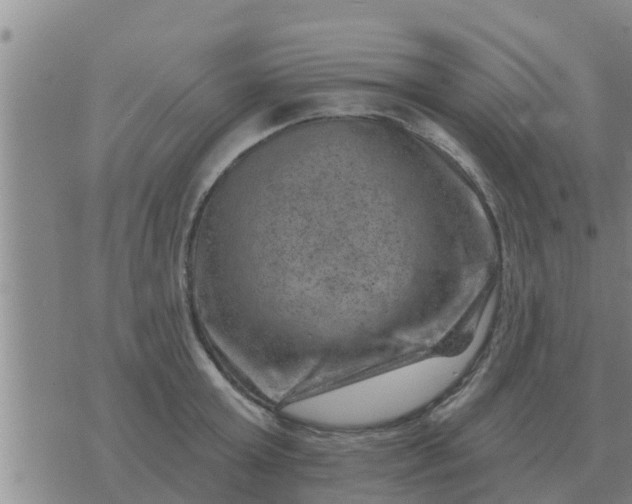 X0000074340803200609082056