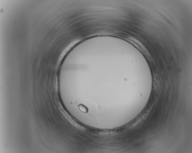 X0000074340804200609082056