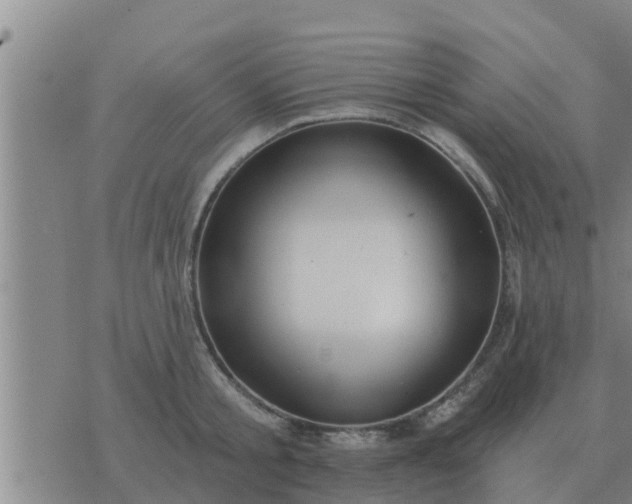 X0000074340805200609082056