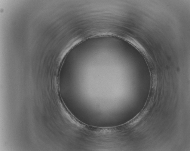 X0000074340806200609082056