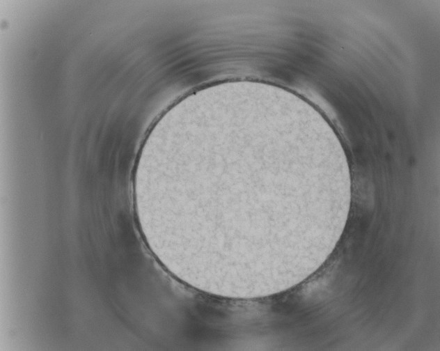 X0000074340807200609082056