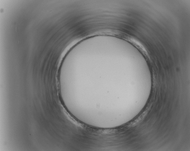 X0000074340808200609082055