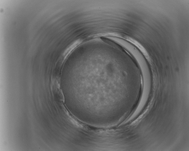 X0000074340809200609082055