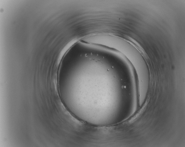 X0000074340812200609082055