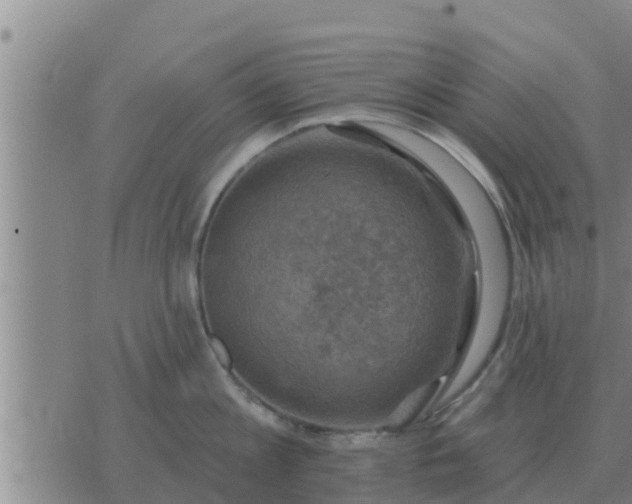 X0000074340813200609082055