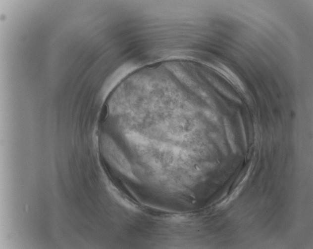 X0000074340814200609082055