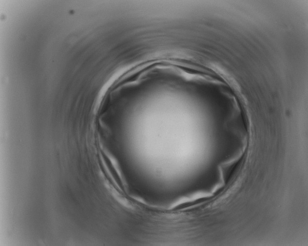 X0000074340816200609082055