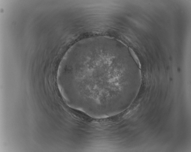 X0000074340817200609082055