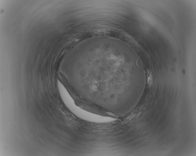 X0000074340819200609082055