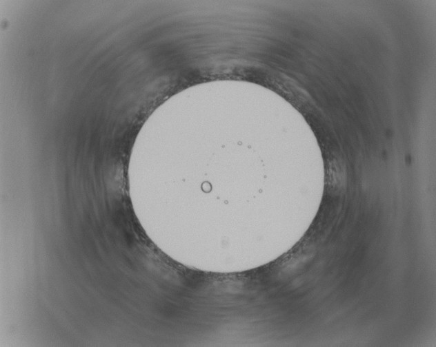 X0000074340820200609082055