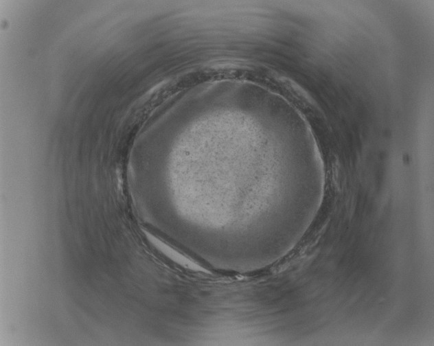 X0000074340821200609082055