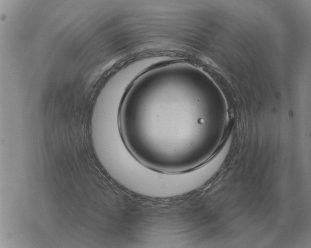 X0000074340822200609082055