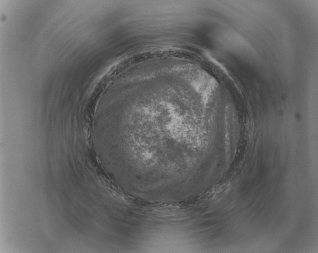 X0000074340823200609082055