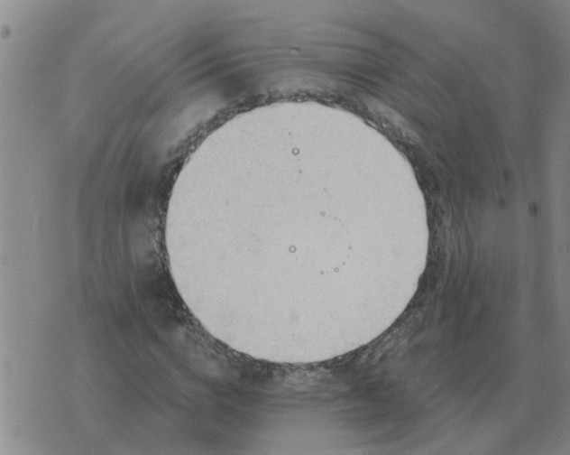 X0000074340824200609082055